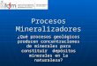 Procesos Mineralizadores