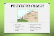 Proyecto Olmos