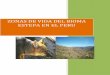 Zonas de Vida Del Bioma Estepa en El Peru1