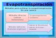 evapotranspiracion, metodos directos e indirectos para medir la evapotranspiracion