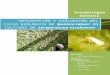 Descripción y Evaluación Del Ciclo Biológico de Bemisia Tabaci en Cultivos de Lycopersicum Esculentum