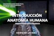 1 Introduccion Anatomia Humana