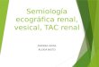Semiologia Ecografia Renal, Vesical, Tac Renal