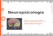 2° clase Neuropsicologia