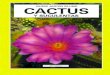 Cactus y otras suculentas.pdf