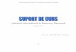 Suport de curs IFRS - dec2013.pdf