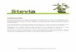 Stevia Perfil Tecnológico de Cultivo