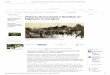 Crónicas de La Primera Guerra Mundial - Noticias de Europa - Mundo - ELTIEMPO II