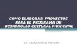 proyectos para municipios