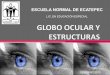 Globo Ocular OFICIAL (Atención Educativa de Alumnos con D.V) 1ER PARCIAL, 2DO SEMESTRE