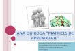 Clase, Ana Quiroga, Matrices de Aprendizaje - Evolucion de La Organizacion Familiar