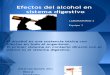 Efectos Del Alcoholismo en Sistema Gastrointestinal