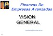 FAV 01 Vision General