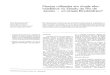 1 - ensaio etnobotanico.pdf