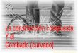 Construccion Compuesta Español FCP Ca002