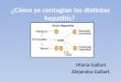 ¿Cómo se contagian las distintas hepatitis?