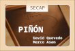 Exposicion Secap Piñon