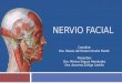 Nervio Facial PPT Final (1)
