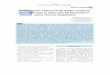 Amplificación Isotérmica de Ácidos Nucleicos Tipo