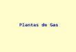 Plantas de Gas