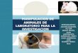Seminario Biofarmacia Animales de Laboratorio
