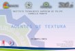 Exposicion Agentes Que Actuan Sobre La Textura.pptx 2