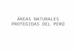 Areas Naturales Protegidas en El Perú
