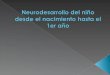 Neurodesarrollo Del Niño