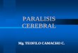 Paralisis Cerebral