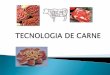 Tecnología e Industria de Carnes