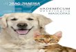 VM WEB Mascotas