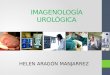 Imagenología Urológica