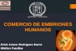 Comercio de Embriones Humanos