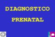 Diagnostico Prenatal 