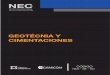 NEC SE CM (Geotecnia y Cimentaciones)