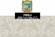Breve presentación sobre el estado de Puebla