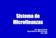 Sistema de Microfinanzas al 2008