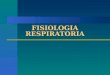 Fisiologia Respiratoria 110817150636 Phpapp01