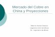 4.- 2013 Mercado Chino Proyecciones y