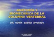 Anatomía y Biomecánica de La Columna Vertebral Unfsc Ultimo