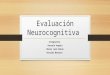 Evaluación-Neurocognitiva (1)