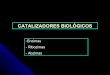 CatalizadoresBiologicos Ribozimas