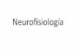 1. Neurociencia y Conducta, Bases Conceptuales [INCOMPLETO].pdf