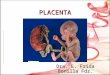 16 Placenta