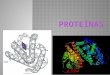 Proteinas y Lipidos