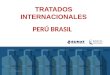 13.02 Tratados Perú Brasil