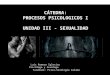 Catedra Procesos Psicologicos 08