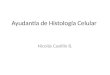 Ayudantía de Histología Celular