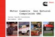 Presentacion Del Motor a Gas Natural Gnc