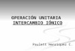 INTERCAMBIO IONICO_20